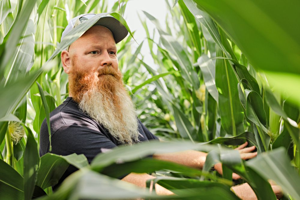 Erik scouting corn crop