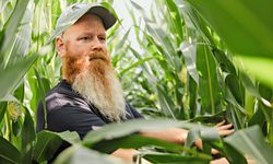 Erik scouting corn crop