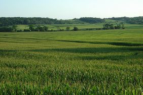 Terva releases Q1 2017 Farmland Auction Report