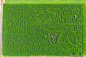An arial view of an elaborate maze. Images of dinosaurs and the words "Enter the land of the lost" are part of the design. 