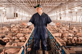 Young man in blue coveralls stands in a hog barn.
