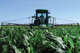 6.30_Corn Micronutrient-Fungicide