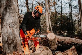 The Echo chainsaw CS-4920 being used on a felled log.