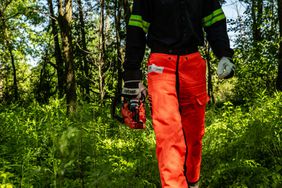 A person walks through the timber carrying an ECHO chainsaw