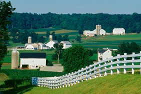 Fence row and farms, Lancaster County, Pennsylvania, USA.