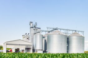grain bins behind a soybean field