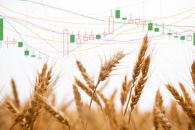 markets_wheat