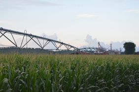 IrrigationCornField-WideShot