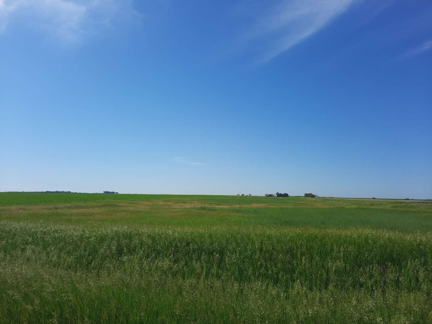 Johnson_SD