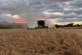 A combine harvests soybeans at sunset in North Carolina
