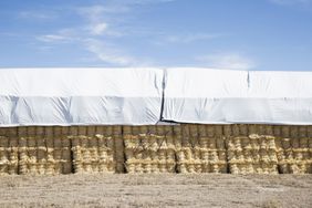 29063_tarp
