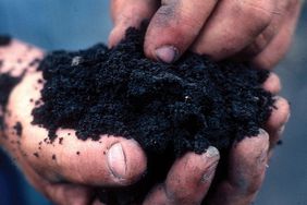 Soil-Health-Farmer-Hands-USDA