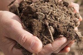 Soil-Health-Farmer-Hands-USDA-2