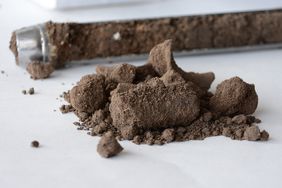 soil sample core