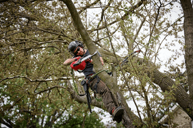 A man in a tree using the Milwaukee M18 Fuel Chainsaw