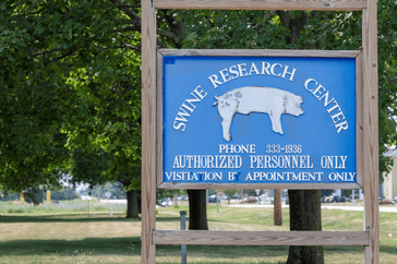 UIUC pork research farm on Sunday, July 23, 2023.